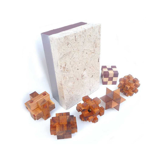 Ensemble de puzzles en bois du Wood Set 6-en-1