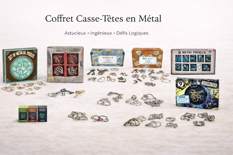 Coffret Casse-Têtes en Métal