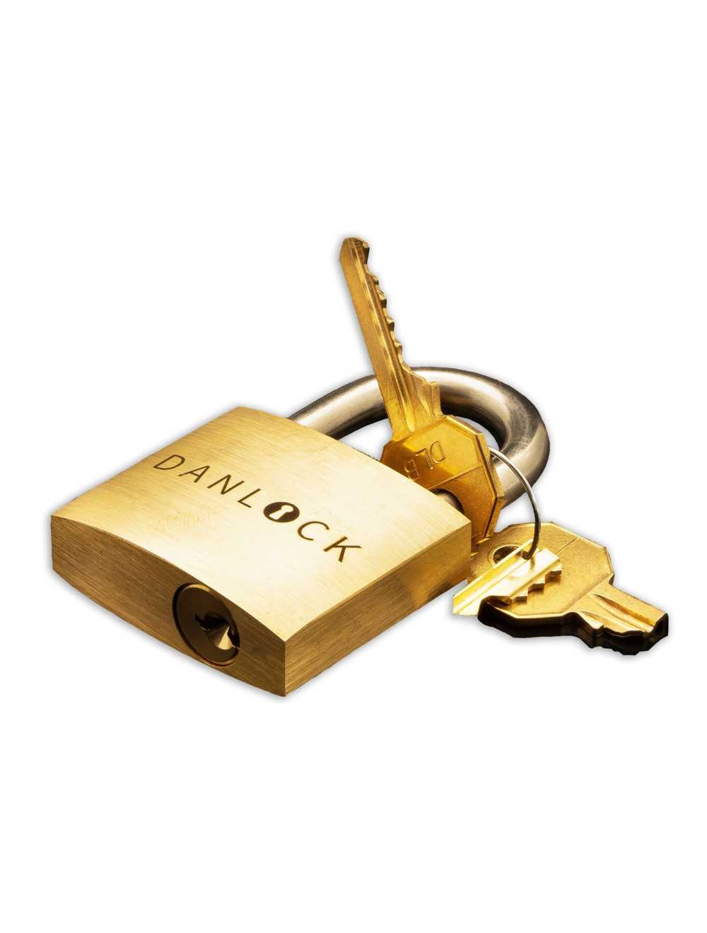 Détail du mécanisme interne du Dan Lock
