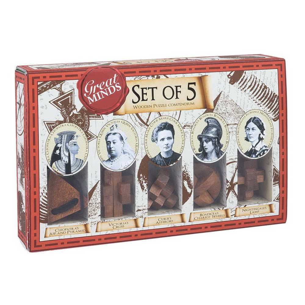 Set de 5 casse-têtes en bois Les Grands Cerveaux – cubes logiques à assembler