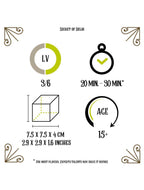 The Secret of Delhi – puzzle mécanique métal et objet de collection avec notice