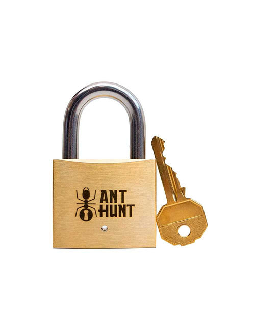 Cadenas puzzle Ant Hunt fermé – énigme mécanique en laiton et acier