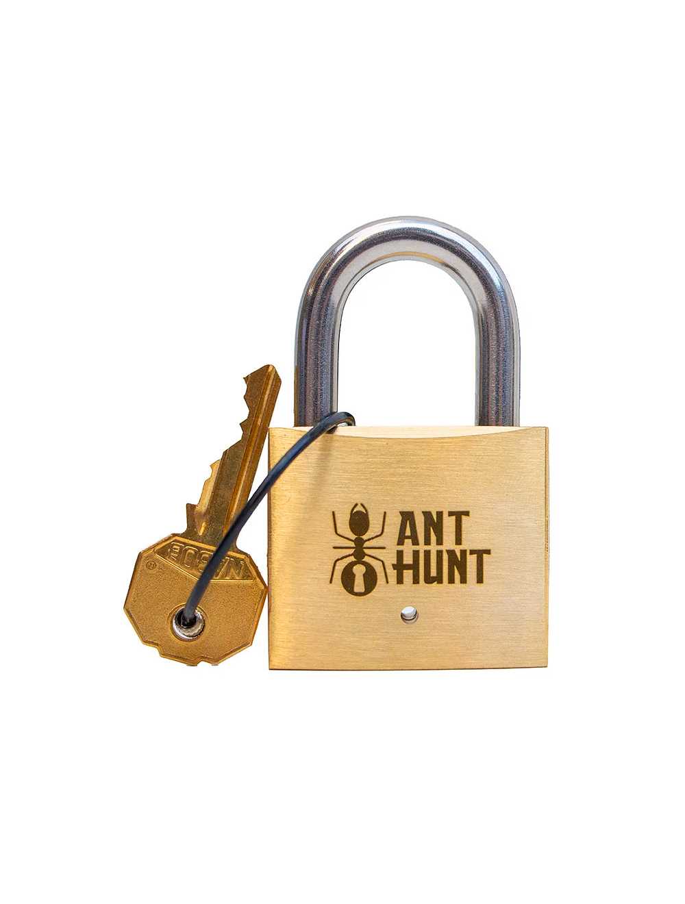 Ant Hunt – cadenas puzzle en métal de collection, casse-tête mécanique expert