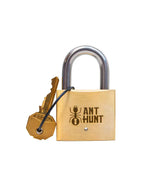 Ant Hunt – cadenas puzzle en métal de collection, casse-tête mécanique expert