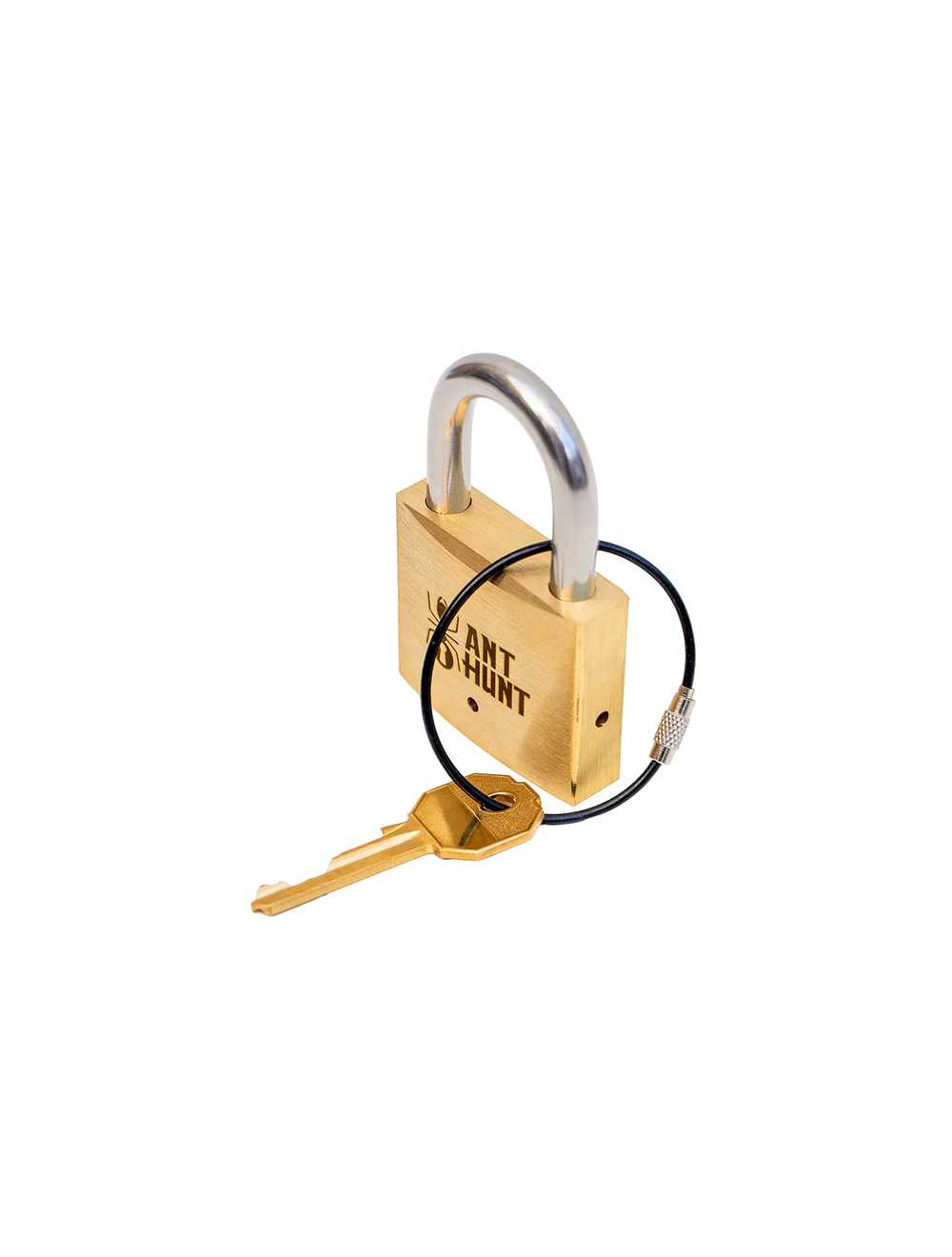 Détail du mécanisme interne Ant Hunt – serrure puzzle en métal