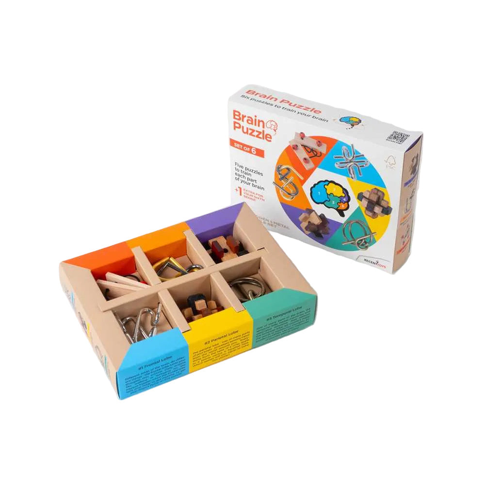 Coffret Brain Puzzles Set of 6 – énigmes variées pour entraîner le cerveau
